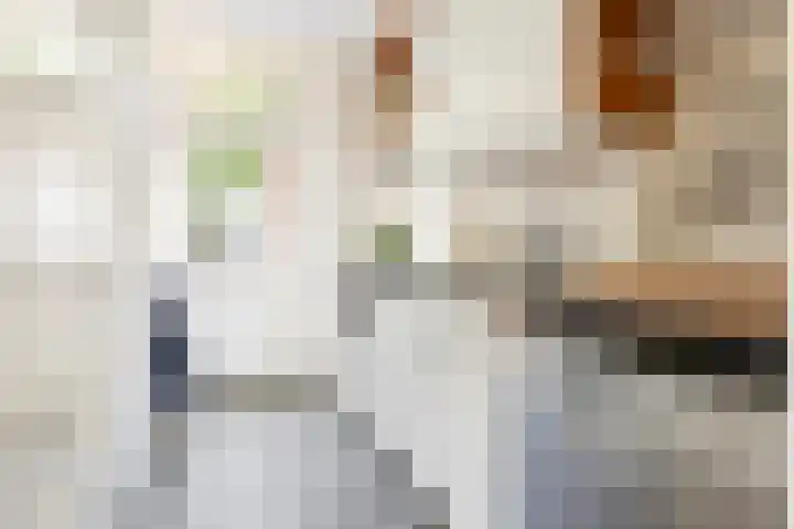 Leeuwarderstraat 20 Groningen thumbnail 12