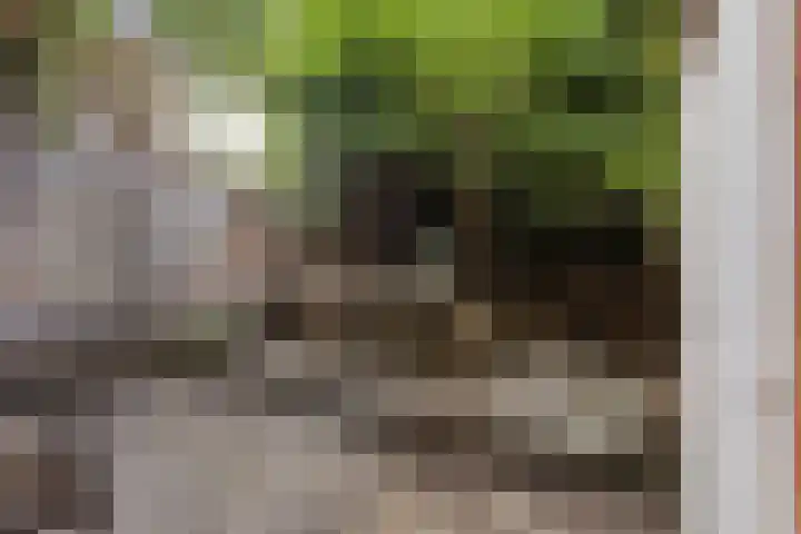 Leeuwarderstraat 20 Groningen thumbnail 20