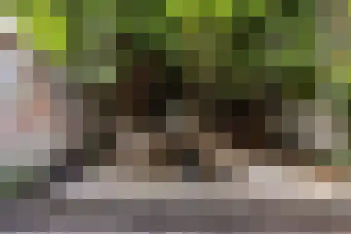 Leeuwarderstraat 20 Groningen thumbnail 21