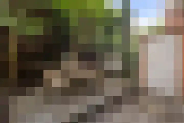 Leeuwarderstraat 20 Groningen thumbnail 22
