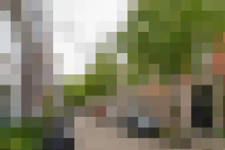 Leeuwarderstraat 20 Groningen thumbnail 24