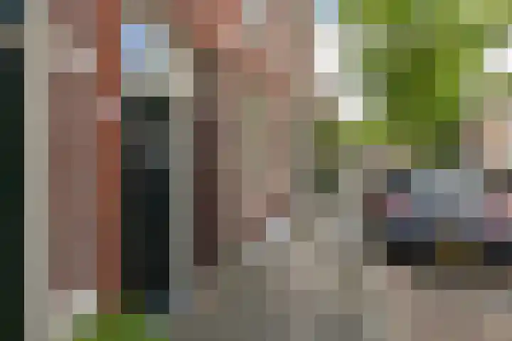 Leeuwarderstraat 20 Groningen thumbnail 4