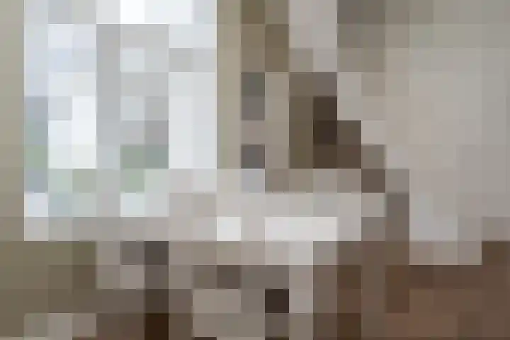 Leeuwarderstraat 28 Groningen thumbnail 12
