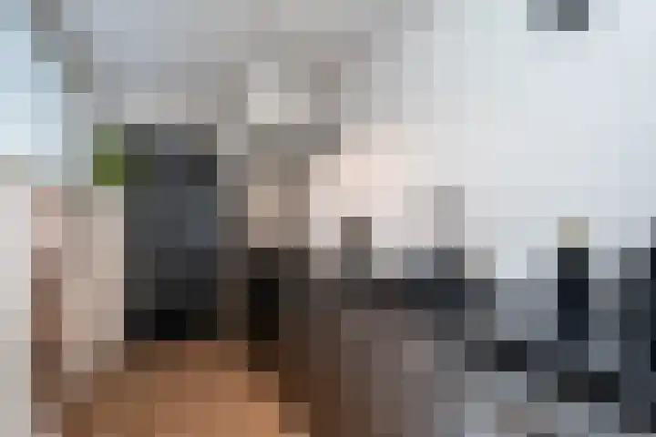 Leeuwarderstraat 28 Groningen thumbnail 16