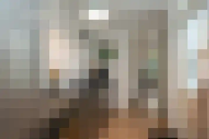 Leeuwarderstraat 28 Groningen thumbnail 17