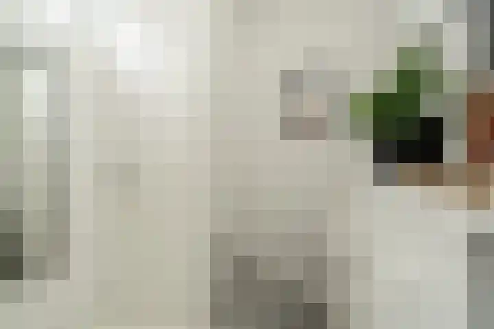 Leeuwarderstraat 28 Groningen thumbnail 24