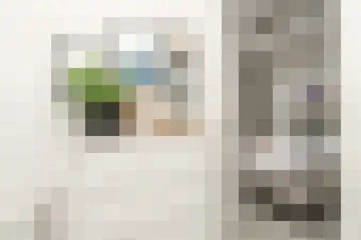 Leeuwarderstraat 28 Groningen thumbnail 26