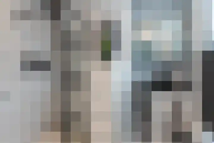 Leeuwarderstraat 28 Groningen thumbnail 31