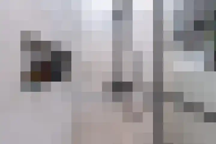 Leeuwarderstraat 28 Groningen thumbnail 32