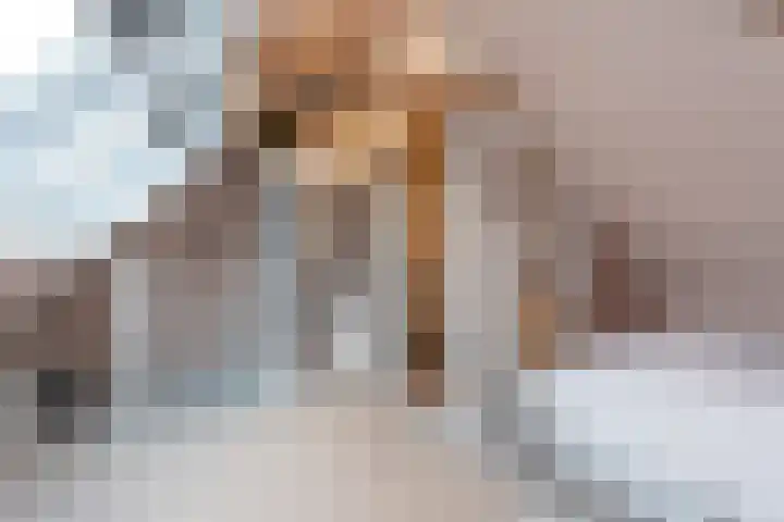 Leeuwarderstraat 28 Groningen thumbnail 36
