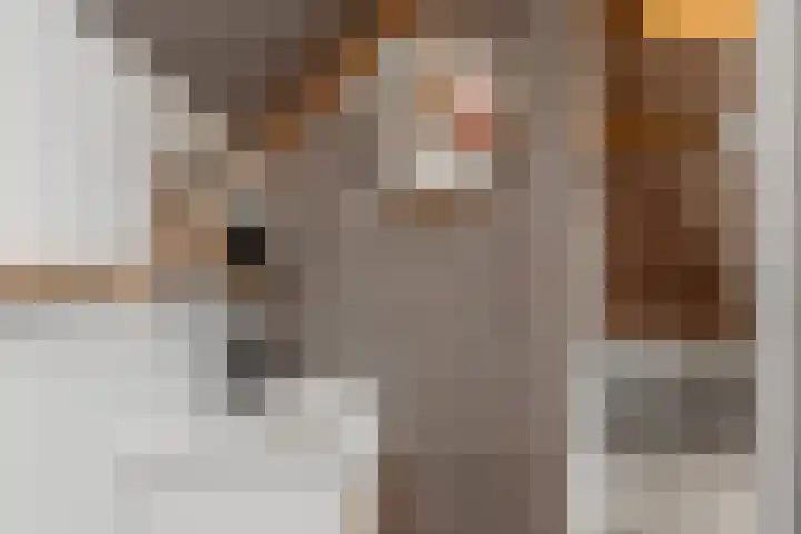 Leeuwarderstraat 28 Groningen thumbnail 38