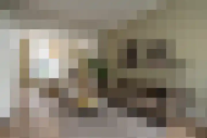 Leeuwarderstraat 28 Groningen thumbnail 4