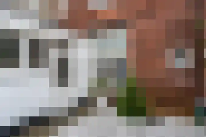 Leeuwarderstraat 28 Groningen thumbnail 43