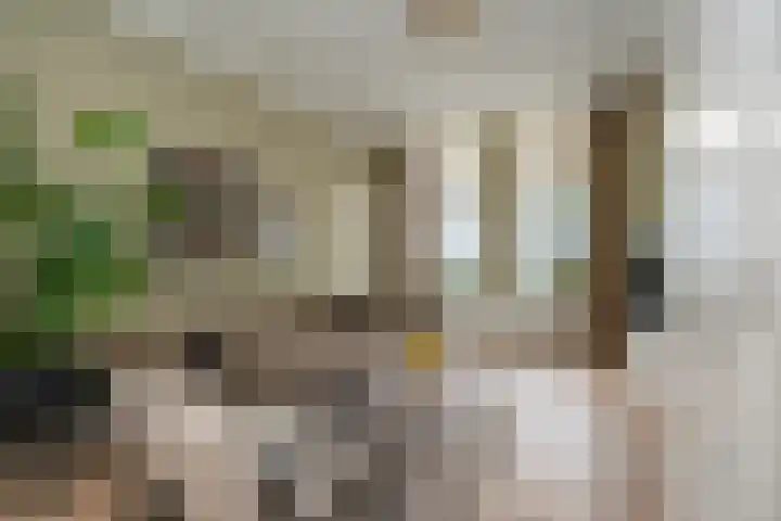 Leeuwarderstraat 28 Groningen thumbnail 6