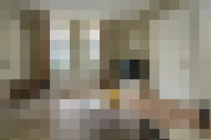 Leeuwarderstraat 28 Groningen thumbnail 7
