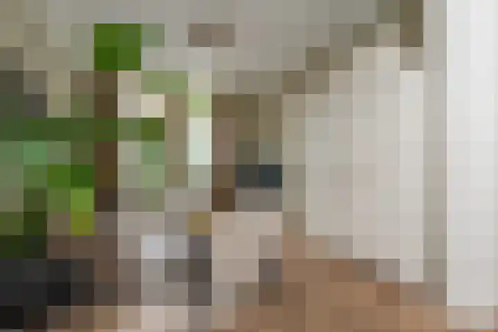 Leeuwarderstraat 28 Groningen thumbnail 9