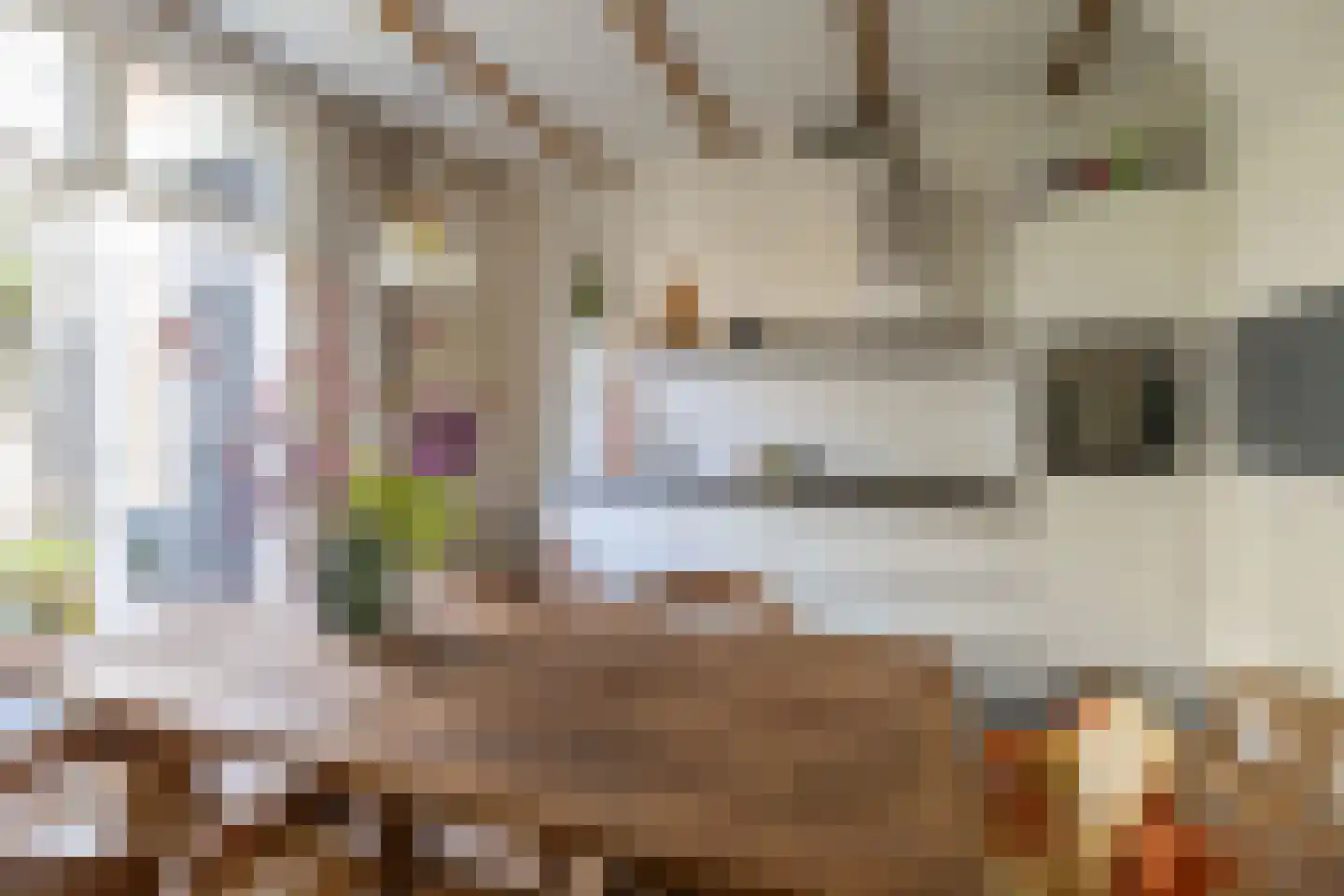 Leeuwarderstraat 29 Groningen thumbnail 16