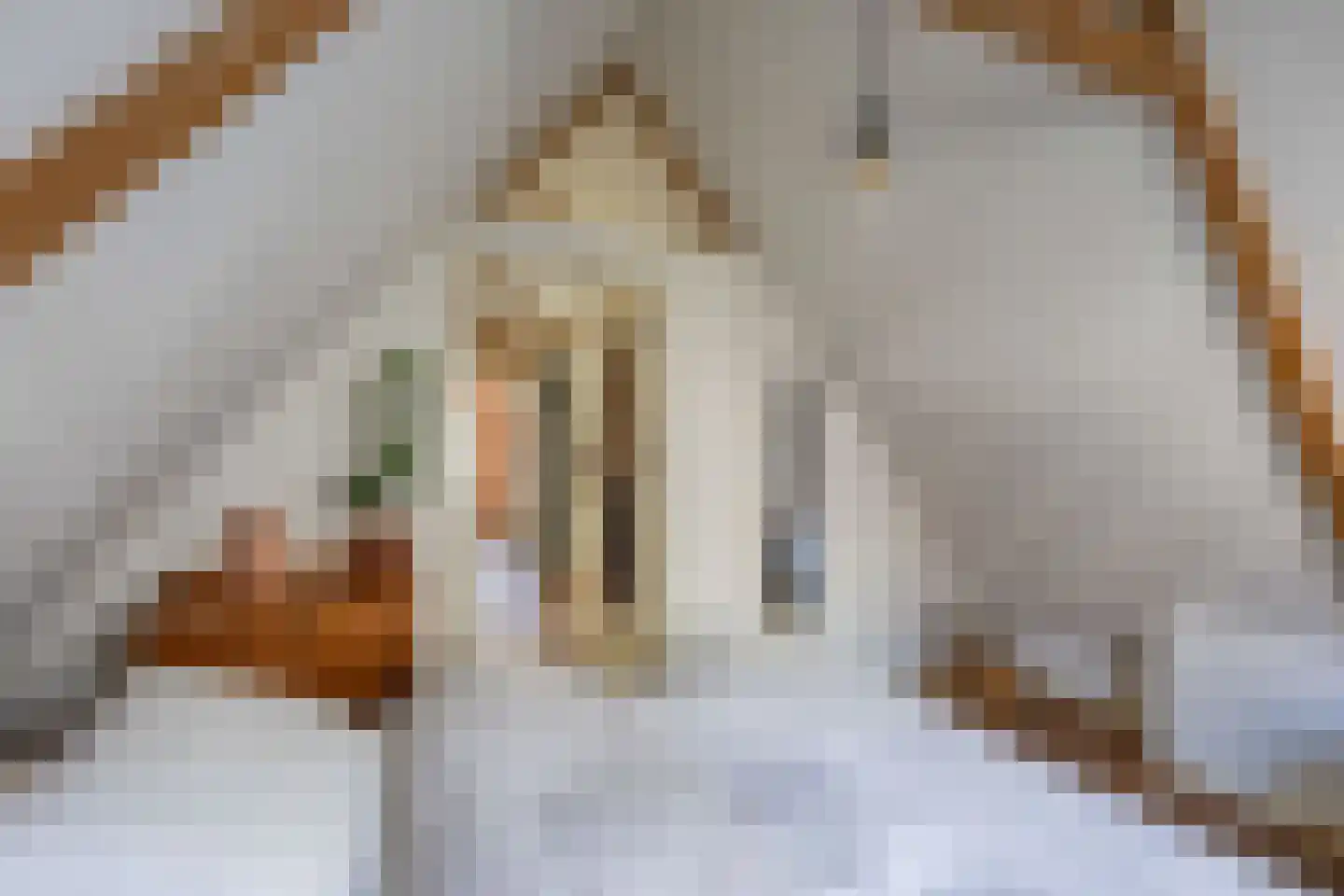 Leeuwarderstraat 29 Groningen thumbnail 21