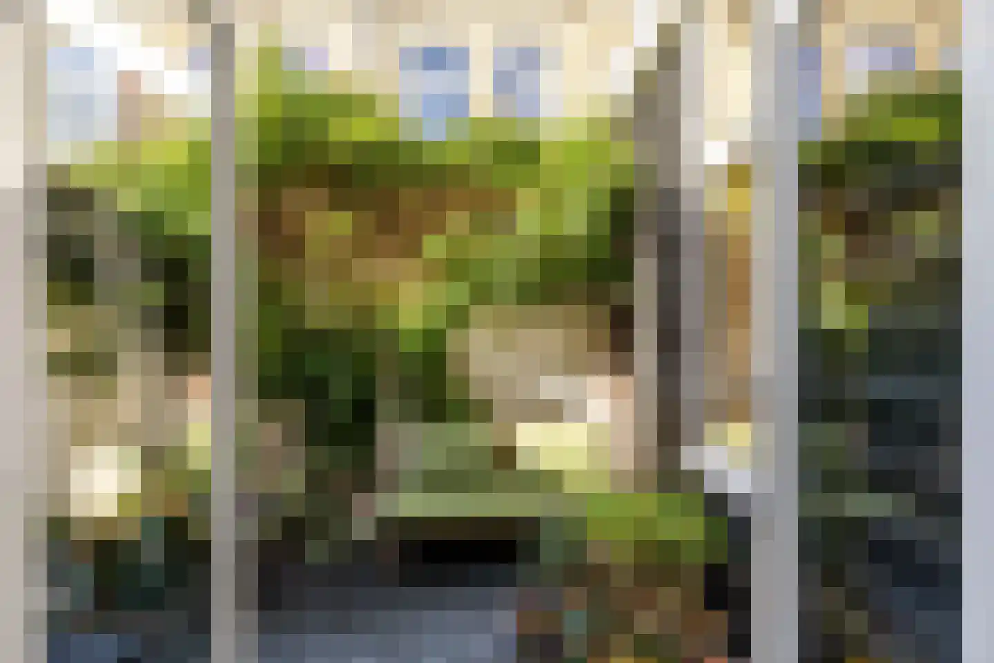 Leeuwarderstraat 29 Groningen thumbnail 31