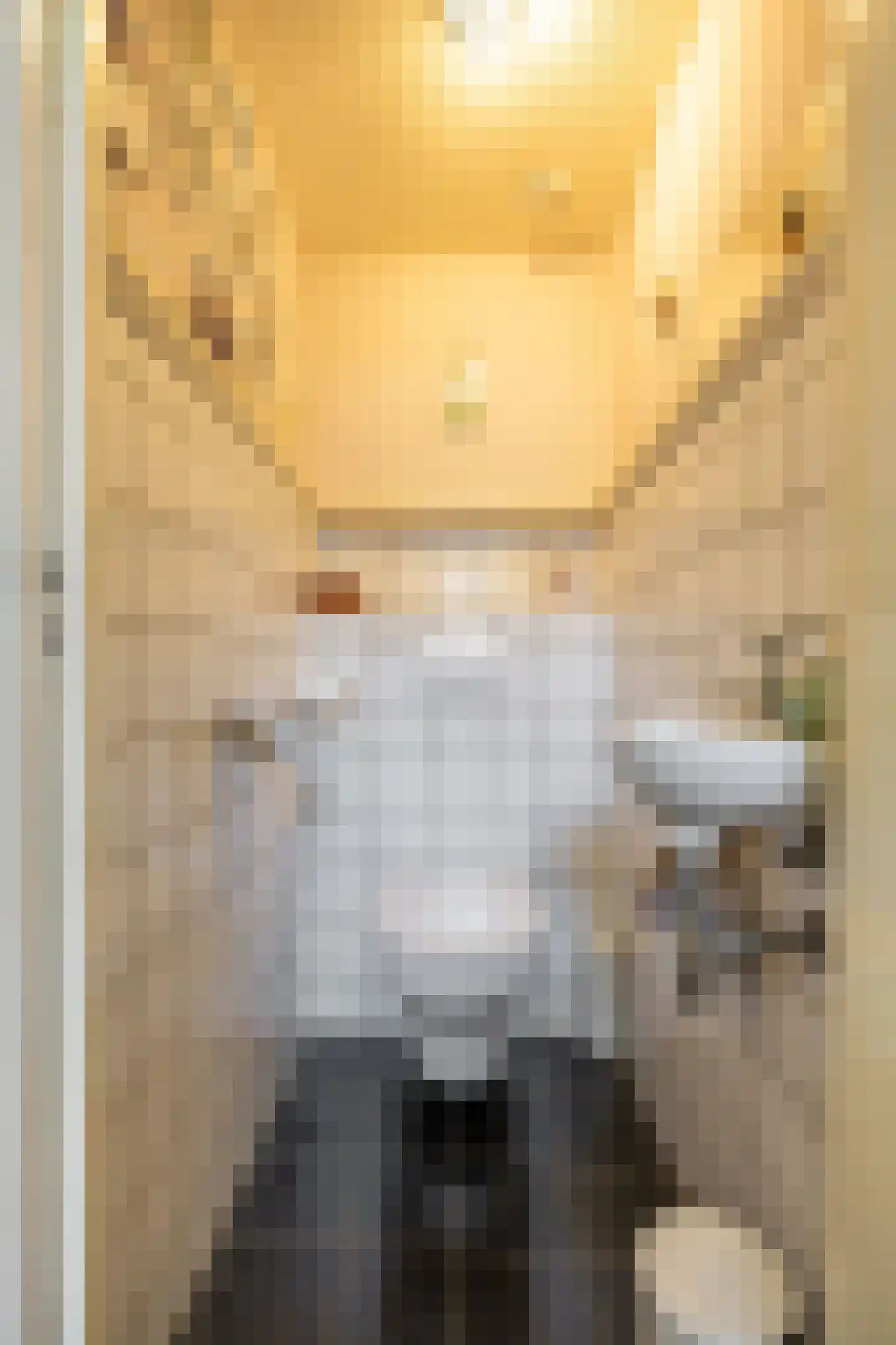 Leeuwarderstraat 29 Groningen thumbnail 9