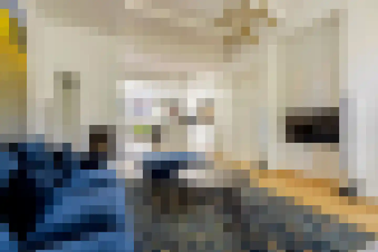 Leeuwarderstraat 30 Groningen thumbnail 10