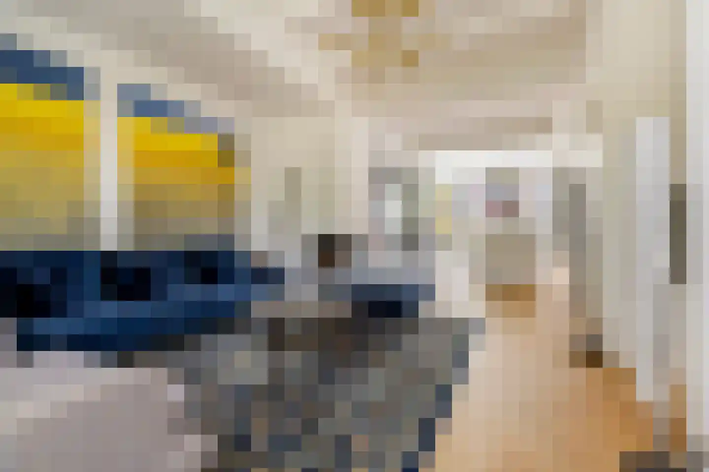 Leeuwarderstraat 30 Groningen thumbnail 13