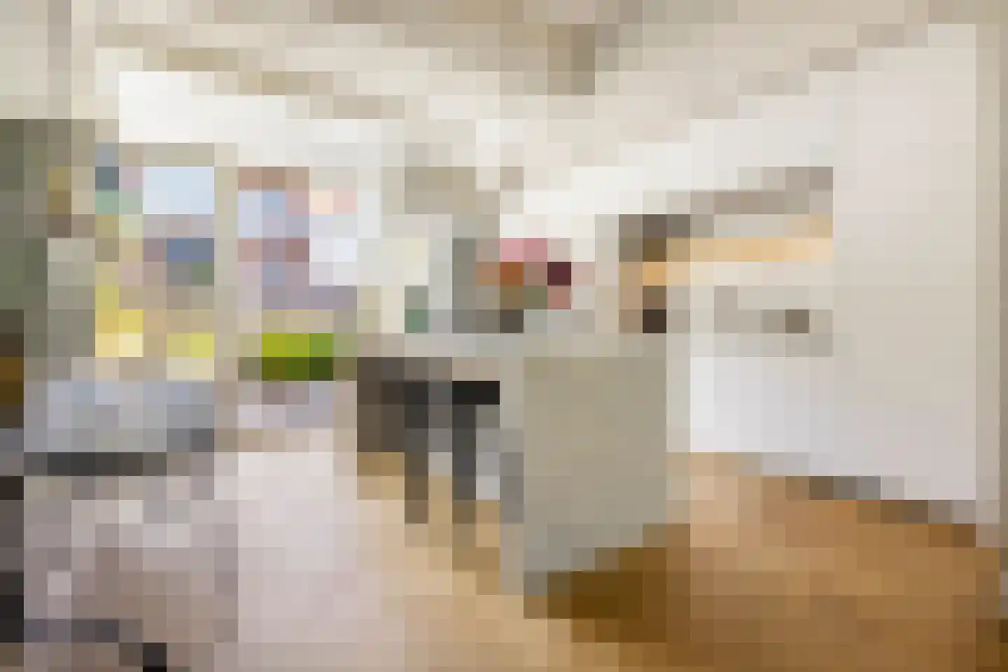 Leeuwarderstraat 30 Groningen thumbnail 15