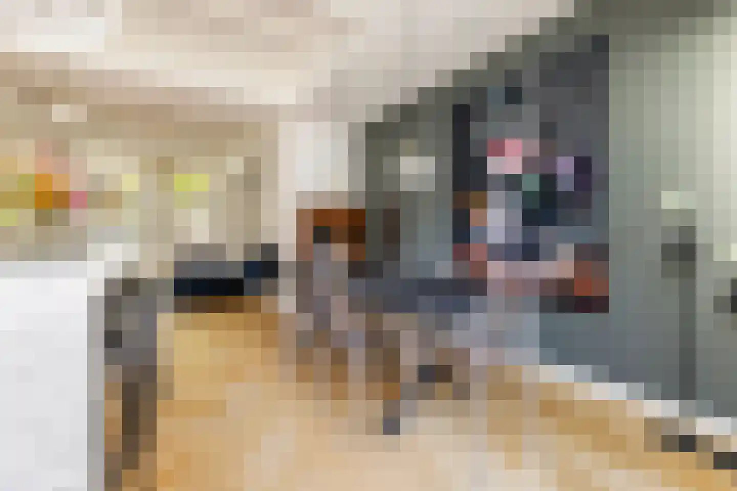 Leeuwarderstraat 30 Groningen thumbnail 17