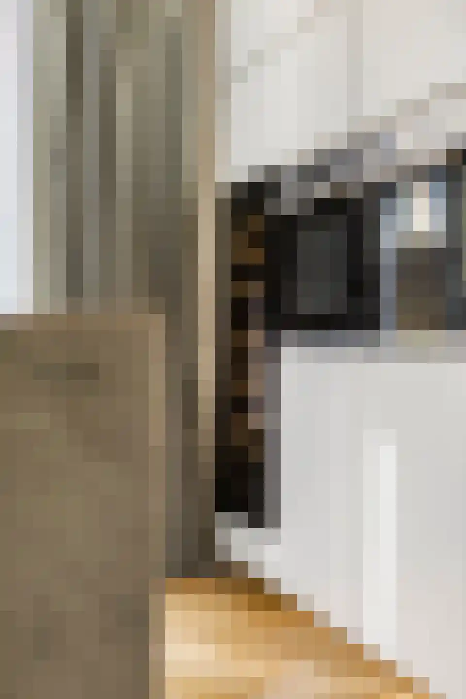 Leeuwarderstraat 30 Groningen thumbnail 23