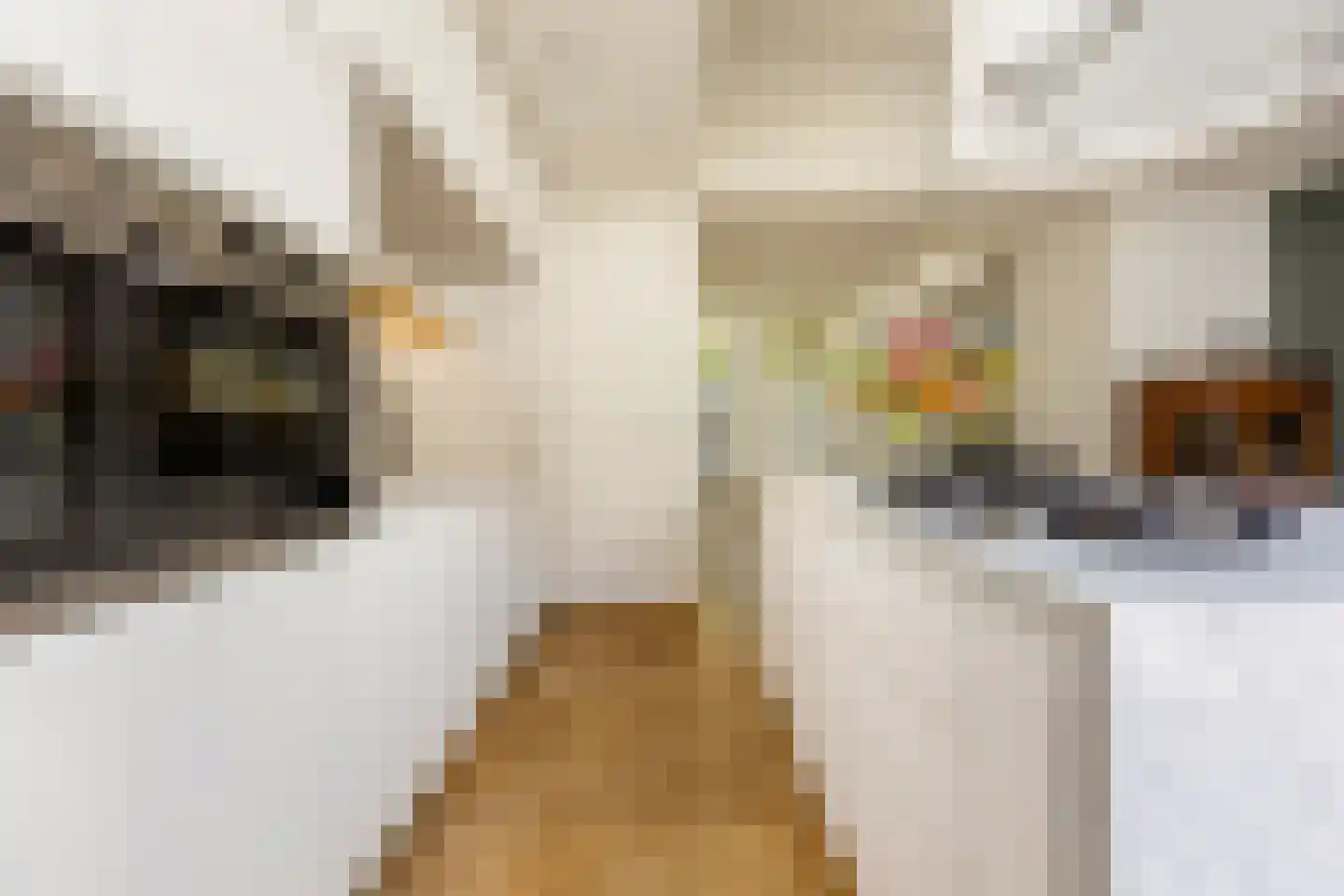 Leeuwarderstraat 30 Groningen thumbnail 24
