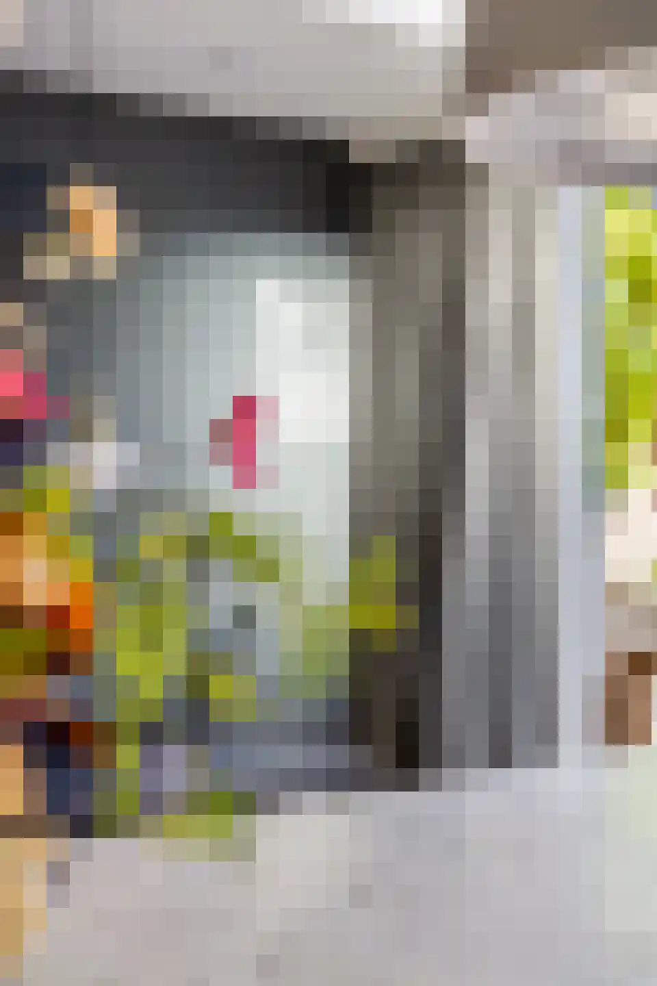 Leeuwarderstraat 30 Groningen thumbnail 27