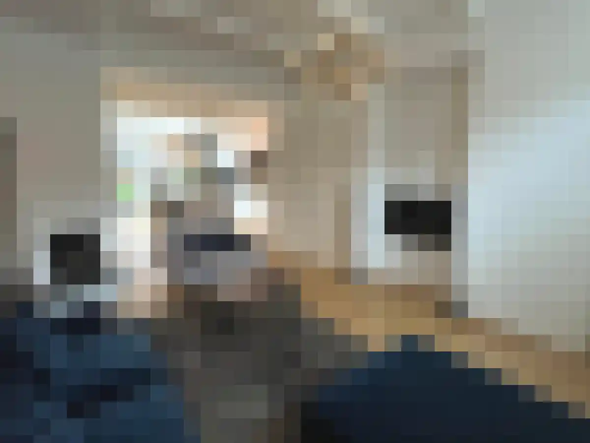 Leeuwarderstraat 30 Groningen thumbnail 4