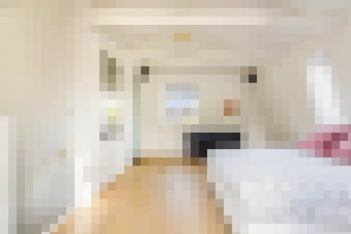 Leeuwarderstraat 30 Groningen thumbnail 44