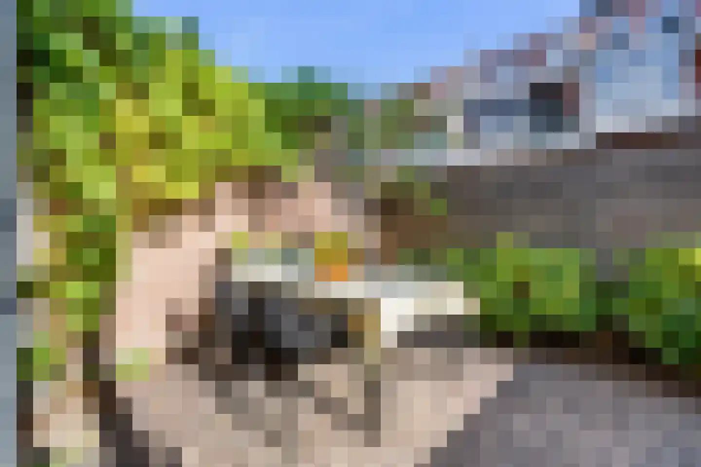Leeuwarderstraat 30 Groningen thumbnail 48