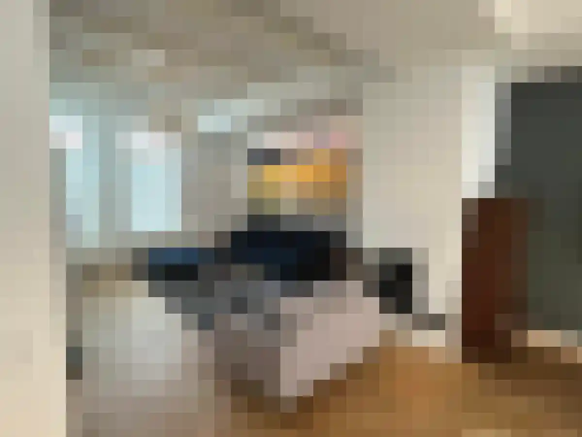 Leeuwarderstraat 30 Groningen thumbnail 6