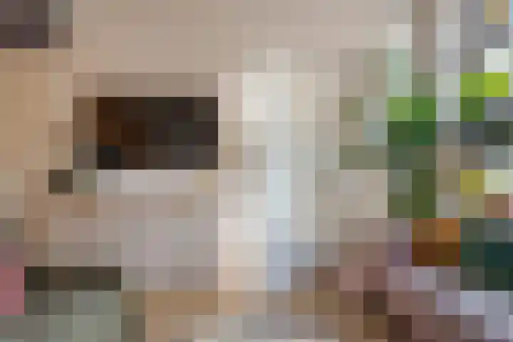Leeuwarderstraat 8 Groningen thumbnail 13