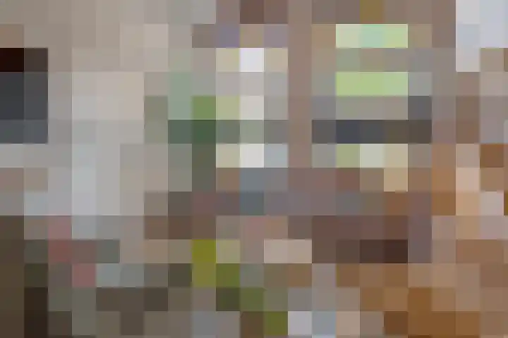Leeuwarderstraat 8 Groningen thumbnail 14