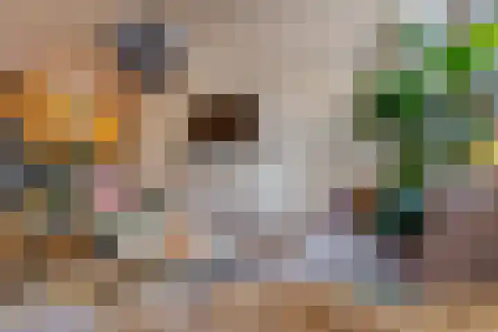 Leeuwarderstraat 8 Groningen thumbnail 15
