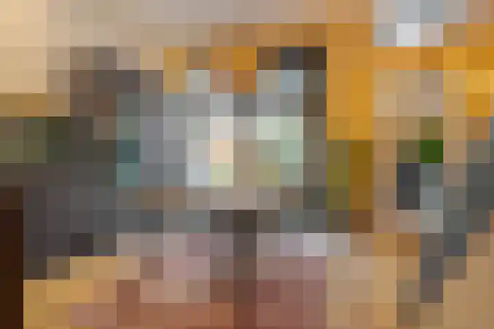 Leeuwarderstraat 8 Groningen thumbnail 18