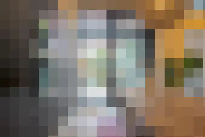 Leeuwarderstraat 8 Groningen thumbnail 22