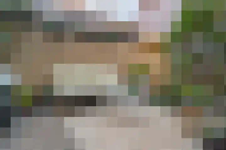 Leeuwarderstraat 8 Groningen thumbnail 24