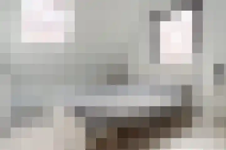 Leeuwarderstraat 8 Groningen thumbnail 33