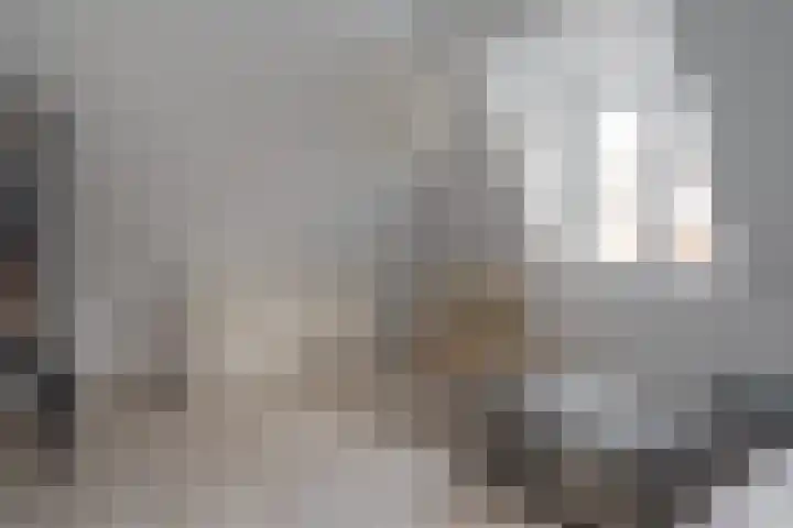 Leeuwarderstraat 8 Groningen thumbnail 37