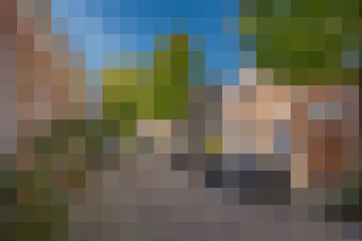 Leeuwarderstraat 8 Groningen thumbnail 7