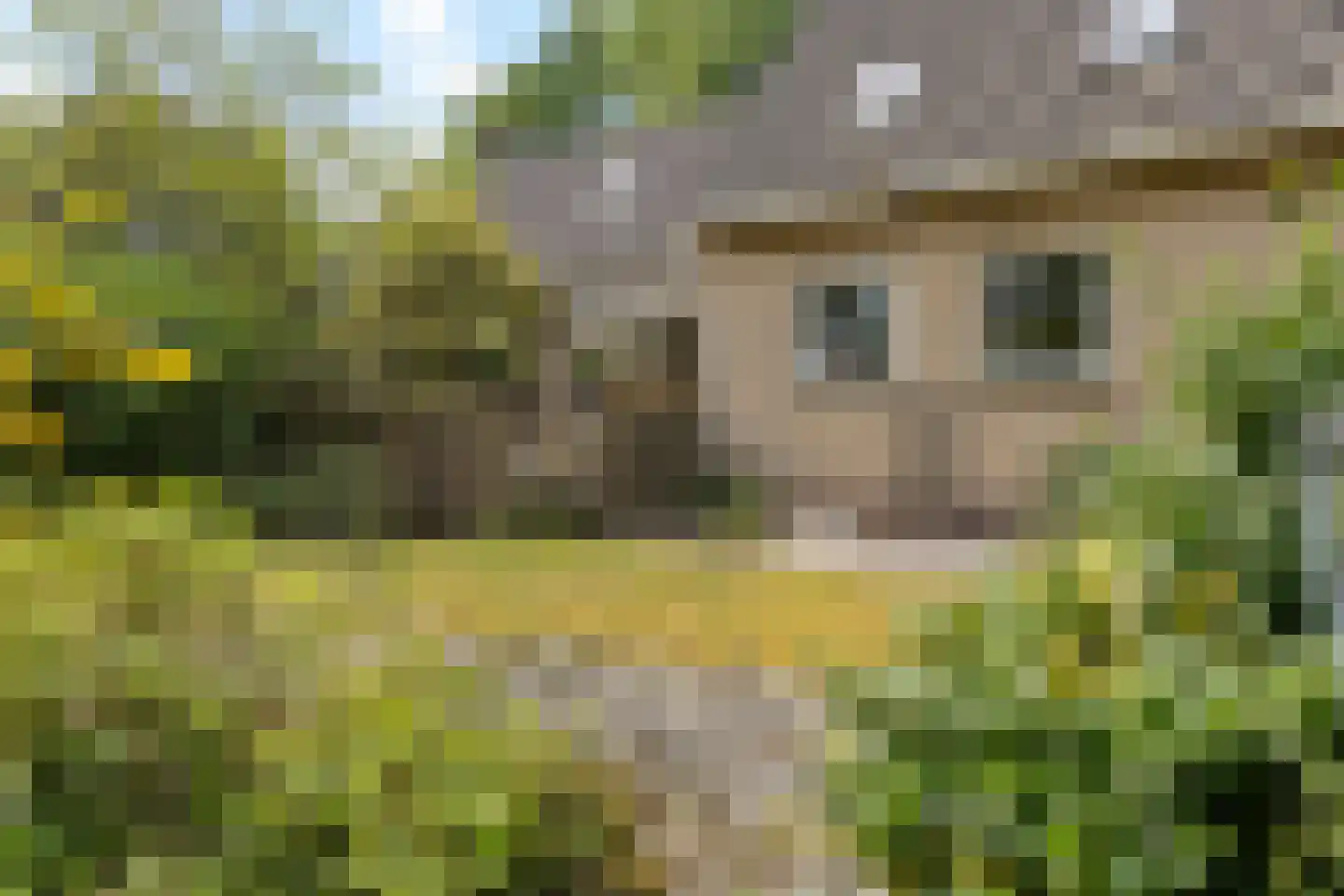 Leeuwarderstraatweg 132 Heerenveen thumbnail 16