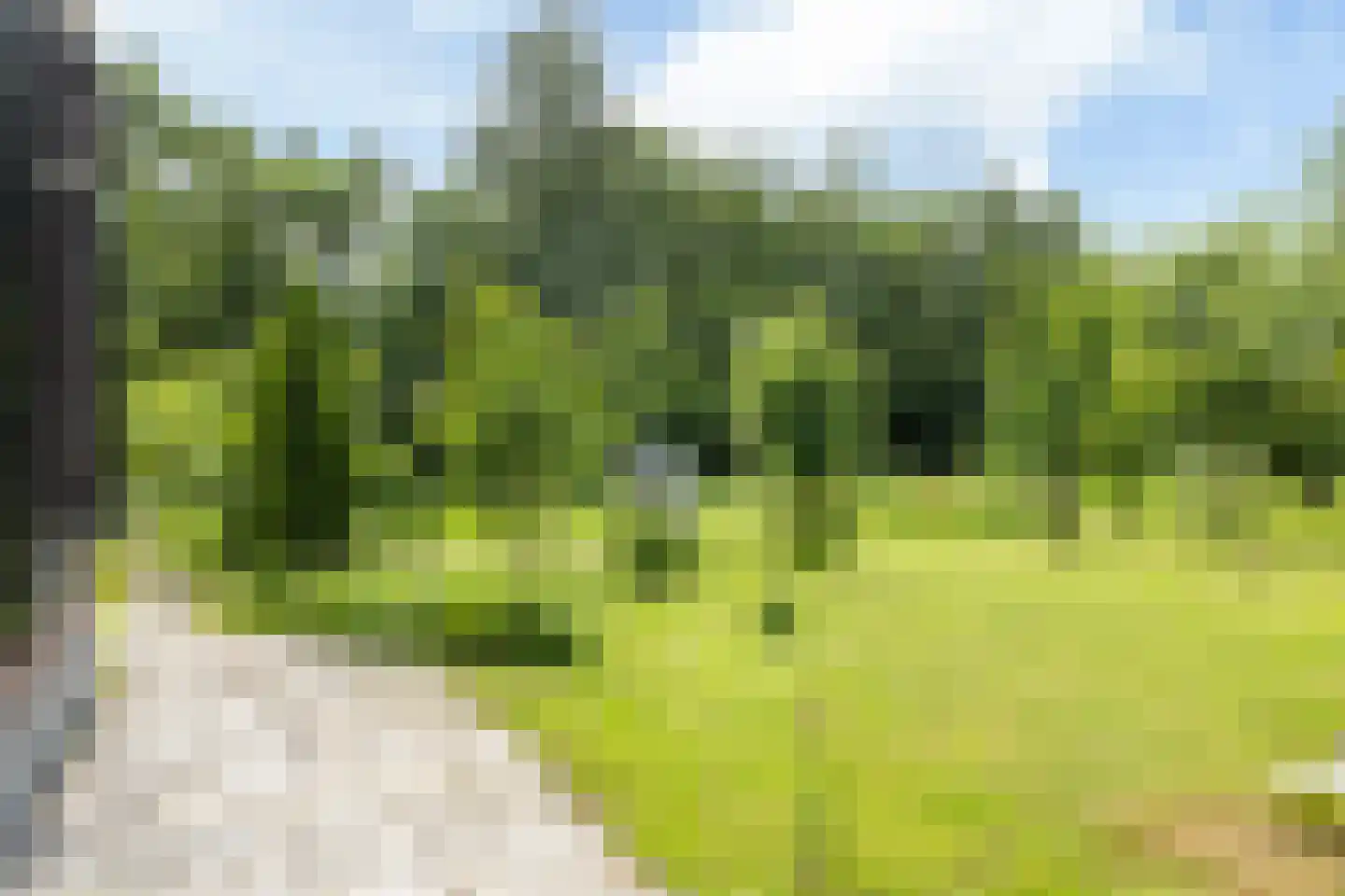 Leeuwarderstraatweg 146 Heerenveen thumbnail 66