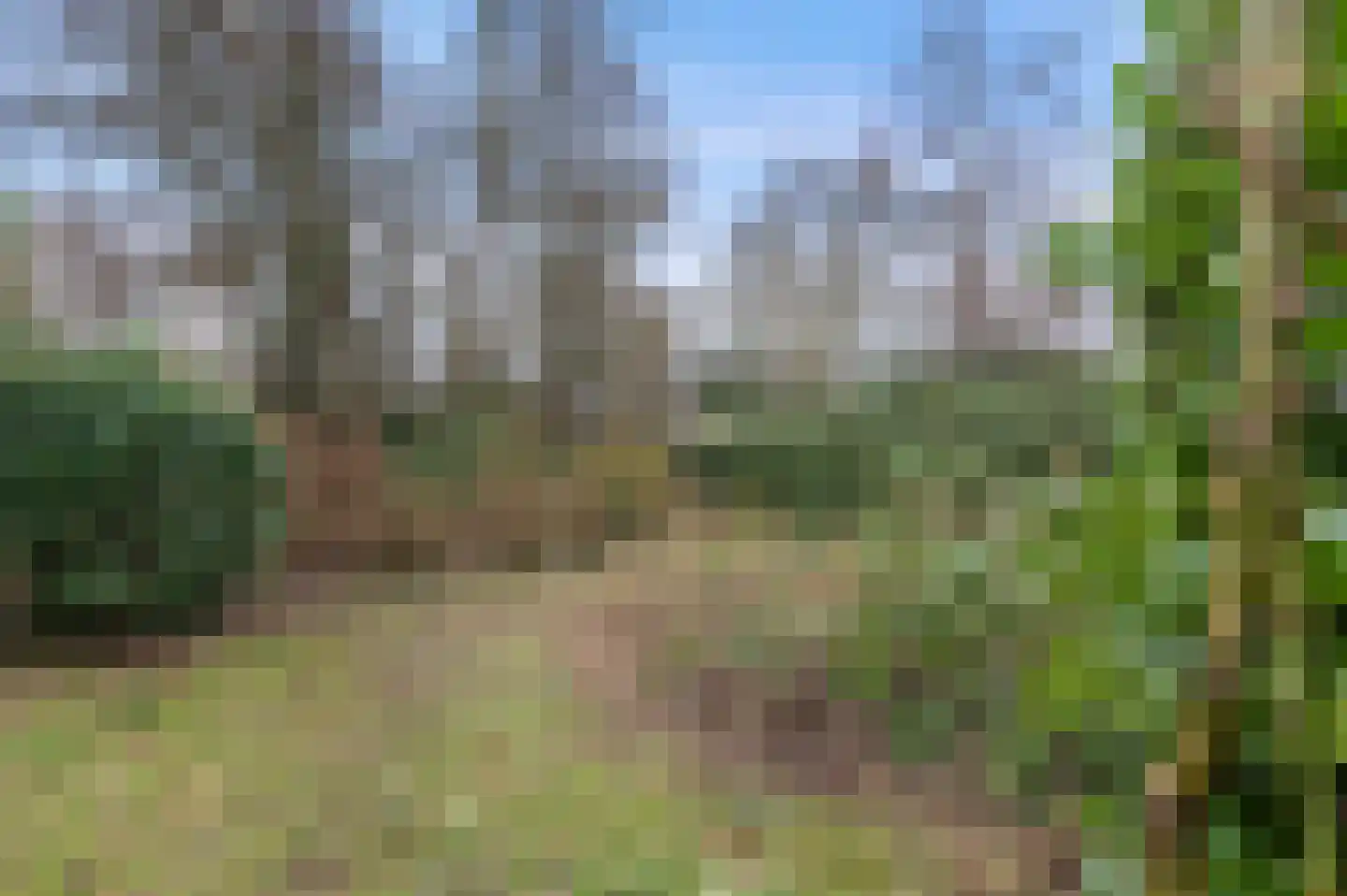 Leeuwarderstraatweg 239 Nieuwebrug thumbnail 4