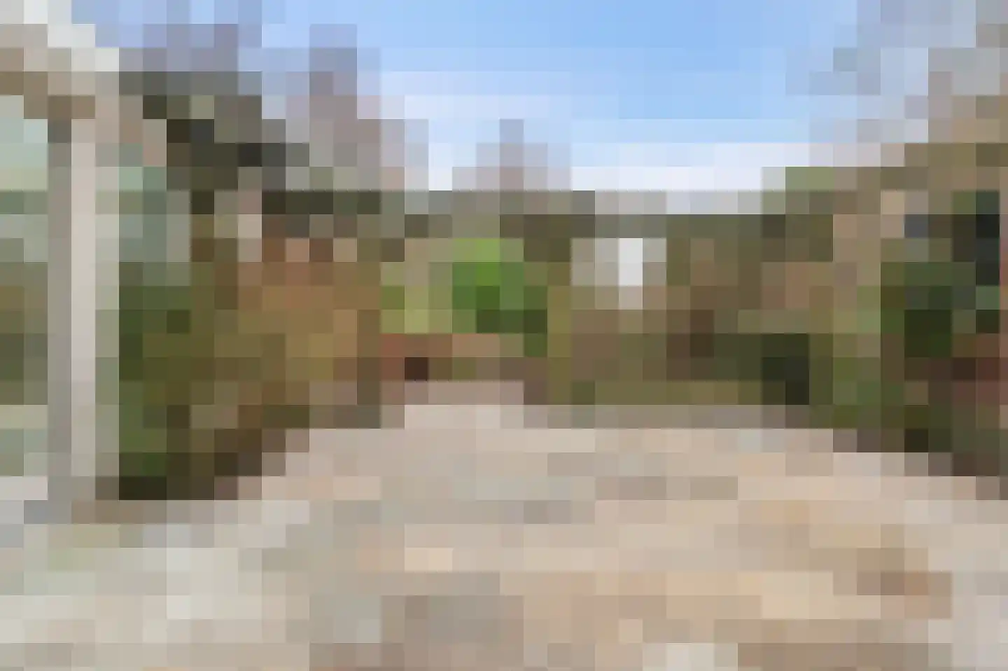 Leeuwarderstraatweg 239 Nieuwebrug thumbnail 44