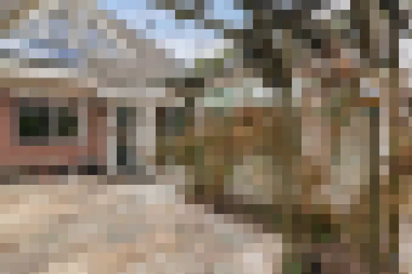 Leeuwarderstraatweg 239 Nieuwebrug thumbnail 46