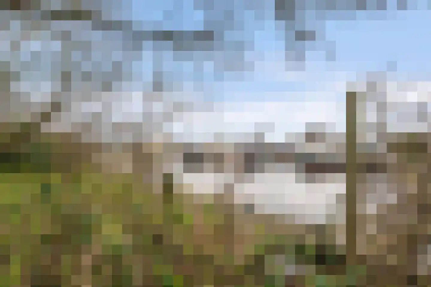 Leeuwarderstraatweg 239 Nieuwebrug thumbnail 48